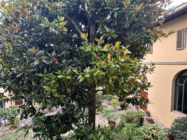 appartamento in affitto a Firenze in zona Porta Romana