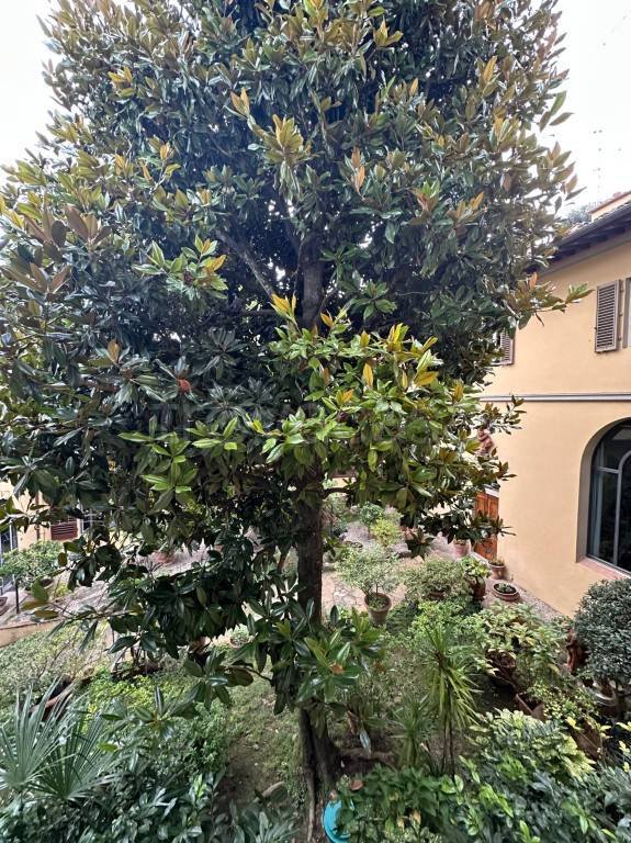 appartamento in affitto a Firenze in zona Centro San Niccolò