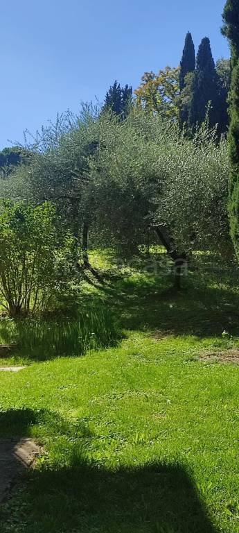 casa indipendente in affitto a Firenze in zona Centro Storico