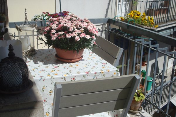 appartamento in affitto a Firenze in zona Statuto