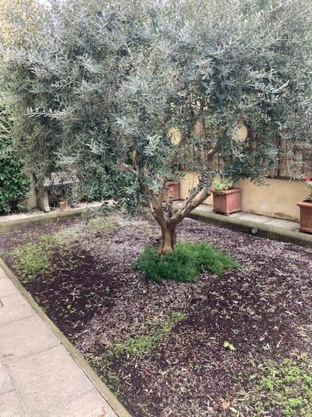 appartamento in affitto a Firenze in zona Statuto