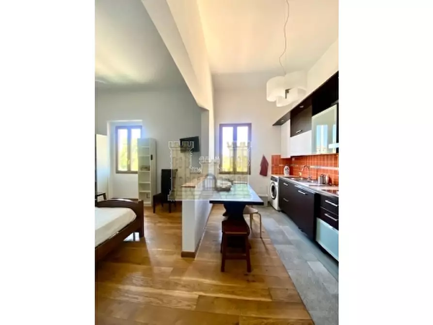 appartamento in affitto a Firenze in zona Centro San Frediano