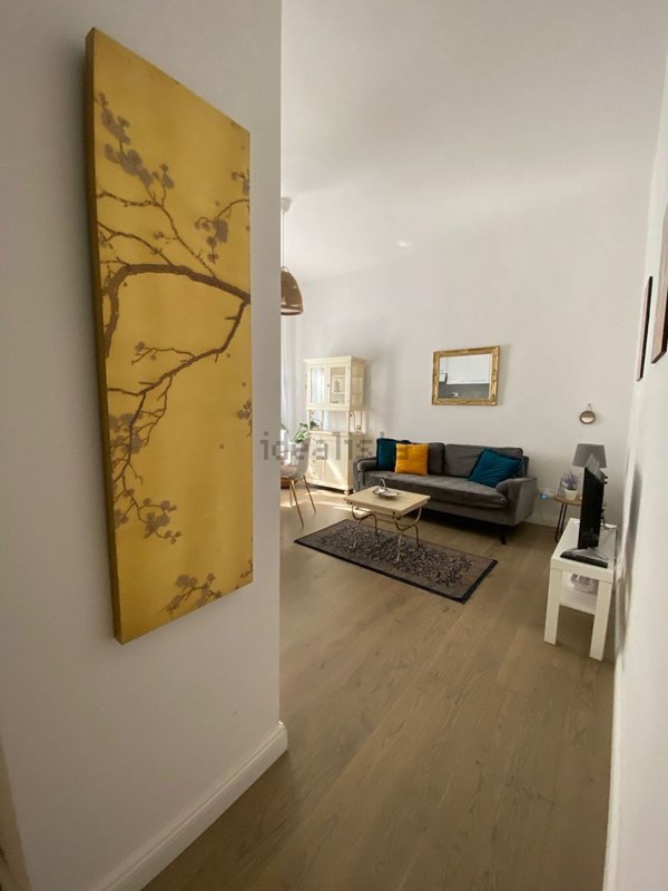 appartamento in affitto a Firenze in zona Centro San Frediano