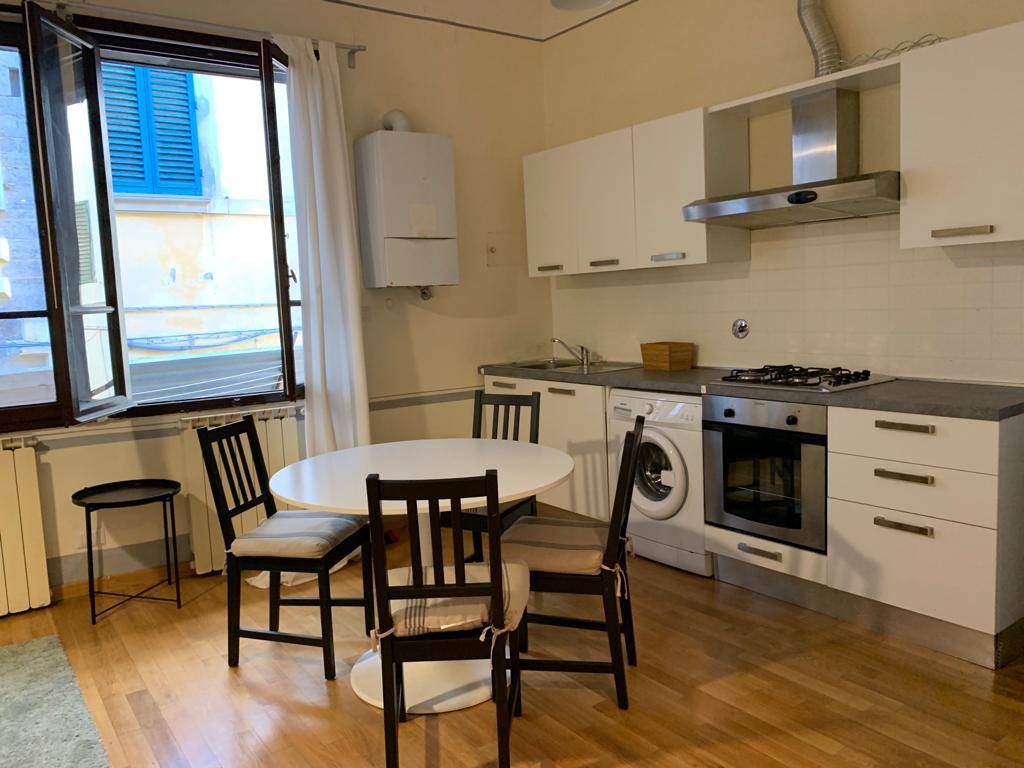 appartamento in affitto a Firenze in zona Centro San Frediano