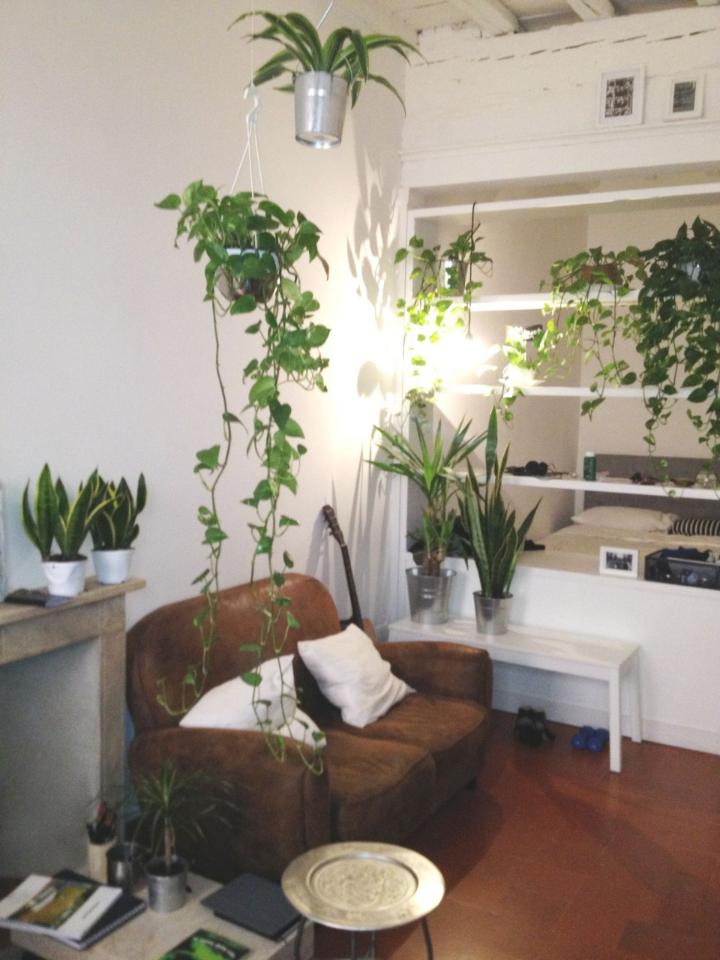 appartamento in affitto a Firenze in zona Centro Santa Croce