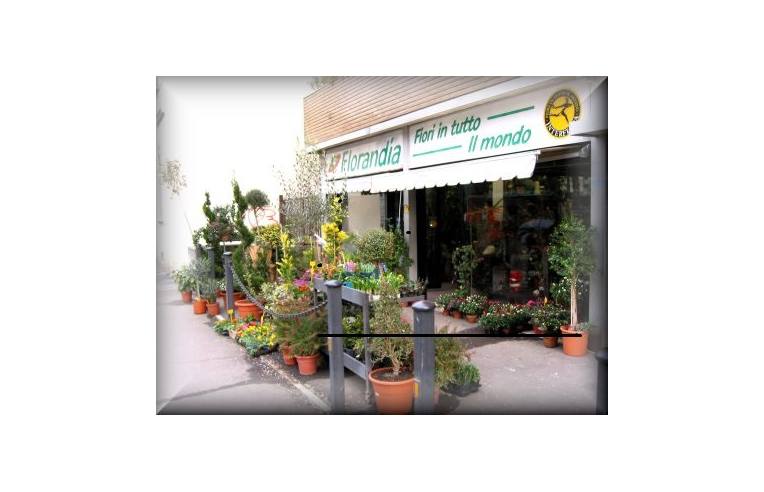 casa indipendente in affitto a Firenze in zona Firenze Nova