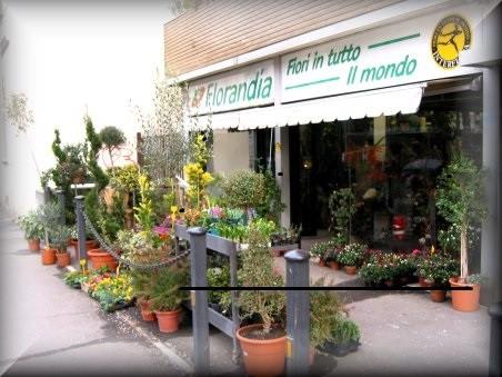 casa indipendente in affitto a Firenze in zona Firenze Nova