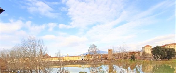 appartamento in affitto a Firenze in zona Centro San Frediano