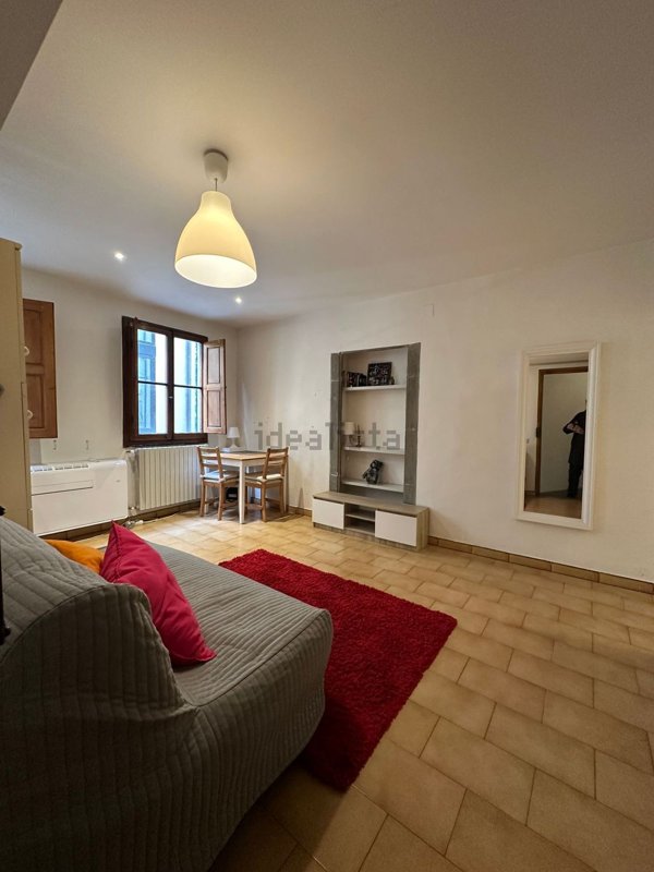 appartamento in affitto a Firenze in zona Centro San Frediano