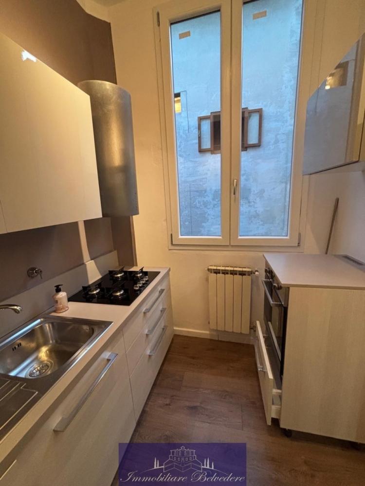 appartamento in affitto a Firenze in zona Centro San Frediano