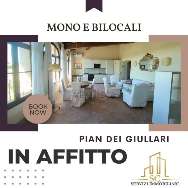 appartamento in affitto a Firenze in zona Pian dei Giullari