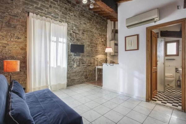 appartamento in affitto a Firenze in zona Centro San Frediano