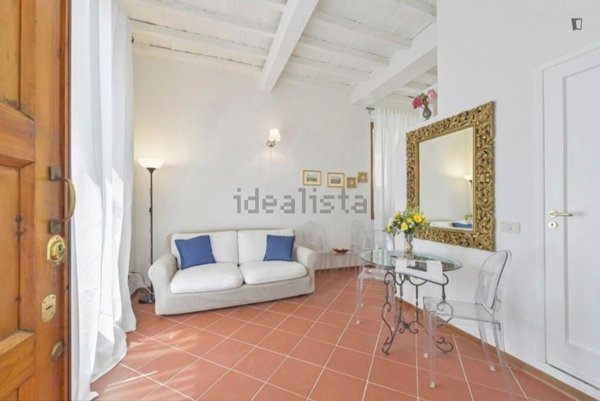 appartamento in affitto a Firenze in zona Centro San Frediano