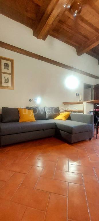 appartamento in affitto a Firenze in zona Centro San Frediano