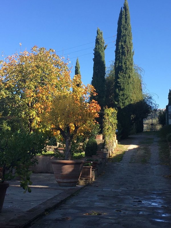 appartamento in affitto a Firenze