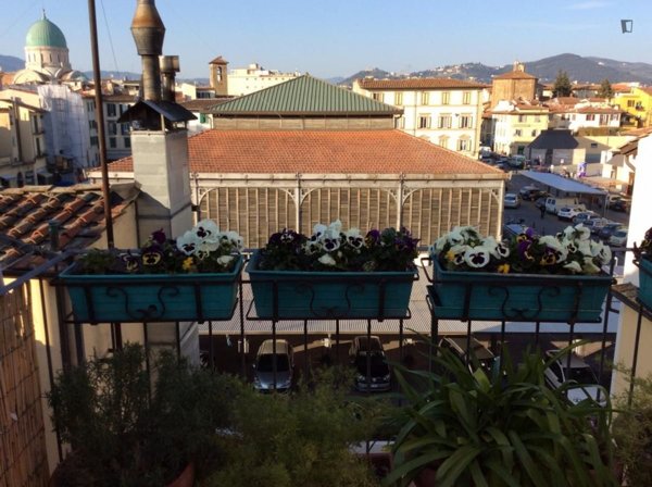 appartamento in affitto a Firenze in zona Centro Santa Croce