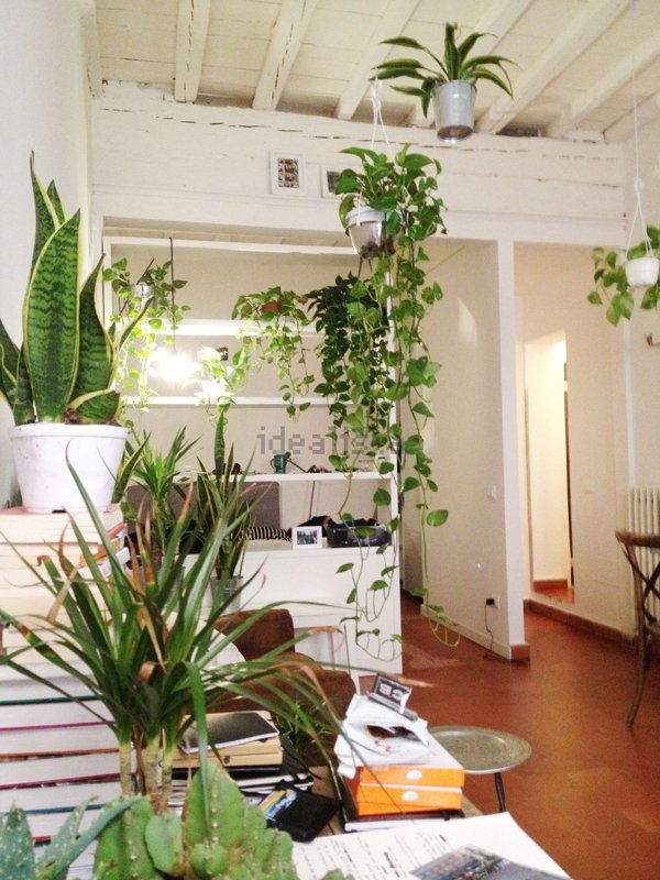 appartamento in affitto a Firenze in zona Centro Santa Croce