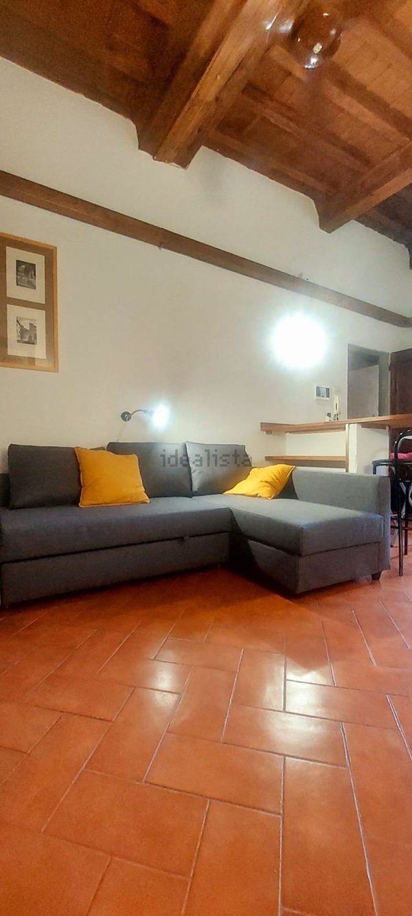 appartamento in affitto a Firenze in zona Centro San Frediano