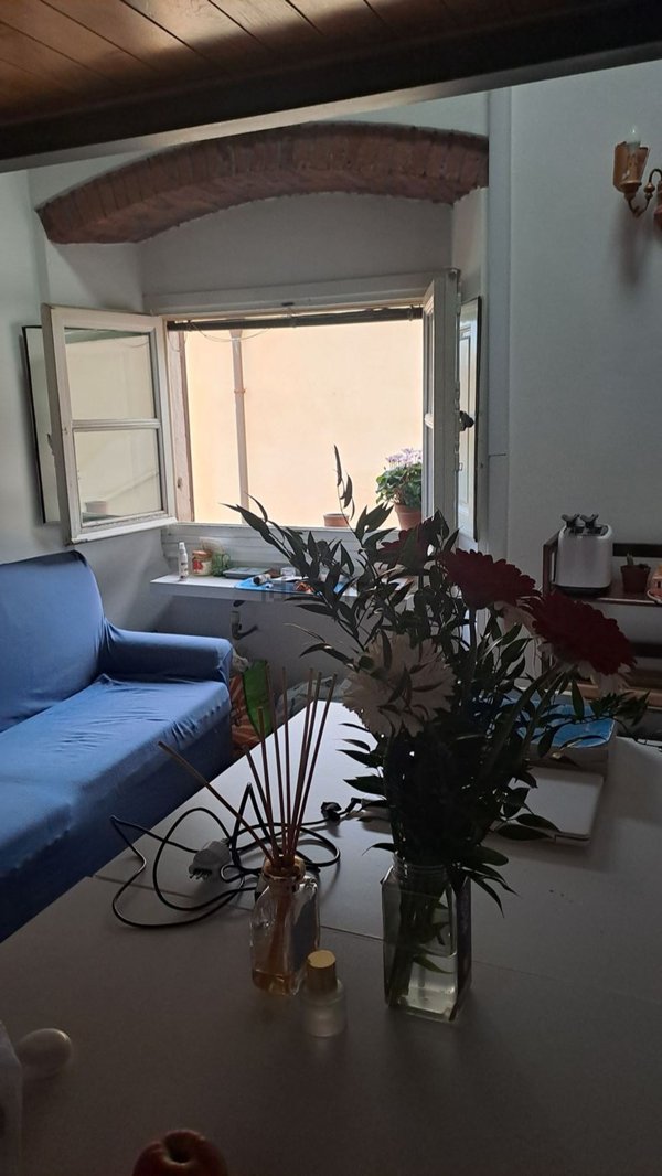 appartamento in affitto a Firenze in zona Centro Santa Croce