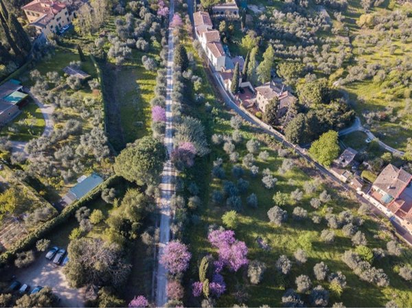 appartamento in affitto a Firenze in zona Centro San Niccolò