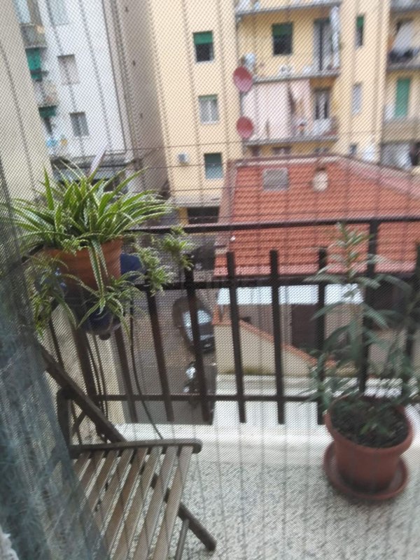 appartamento in affitto a Firenze in zona Novoli