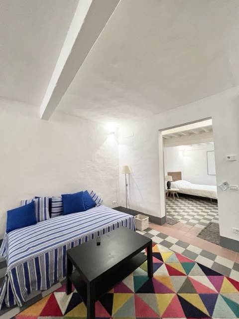 appartamento in affitto a Firenze in zona Centro San Frediano