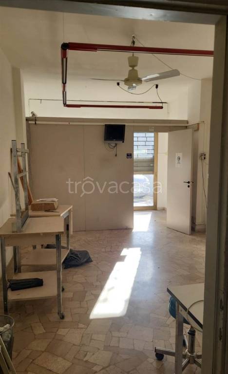 appartamento in affitto a Firenze in zona Novoli