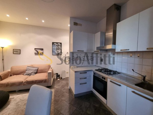 appartamento in affitto a Firenze in zona Pignone