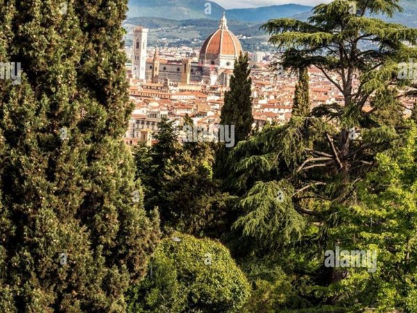 appartamento in affitto a Firenze