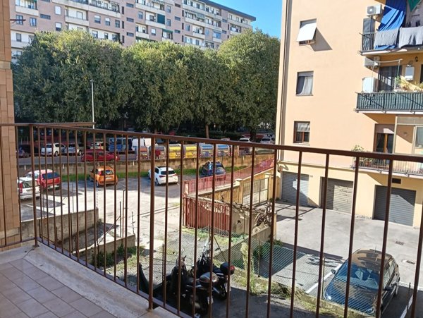 appartamento in affitto a Firenze in zona Novoli