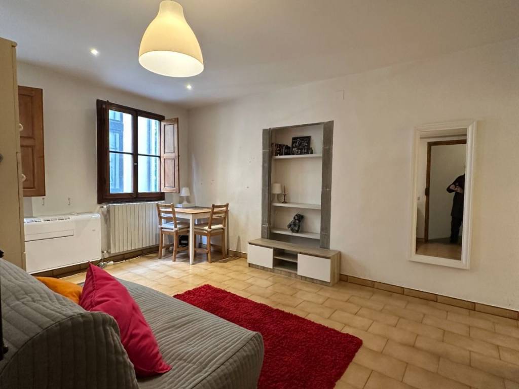 appartamento in affitto a Firenze in zona Centro San Frediano