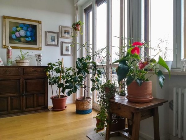 appartamento in affitto a Firenze in zona Centro Santa Maria Novella