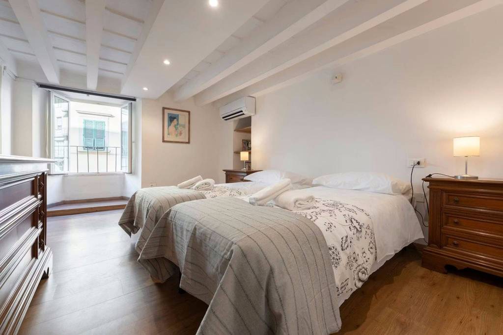 appartamento in affitto a Firenze in zona Centro San Frediano