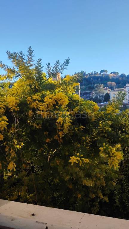 appartamento in affitto a Firenze in zona Centro Santa Croce