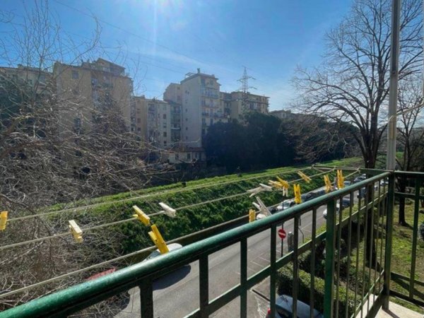 appartamento in affitto a Firenze in zona Novoli