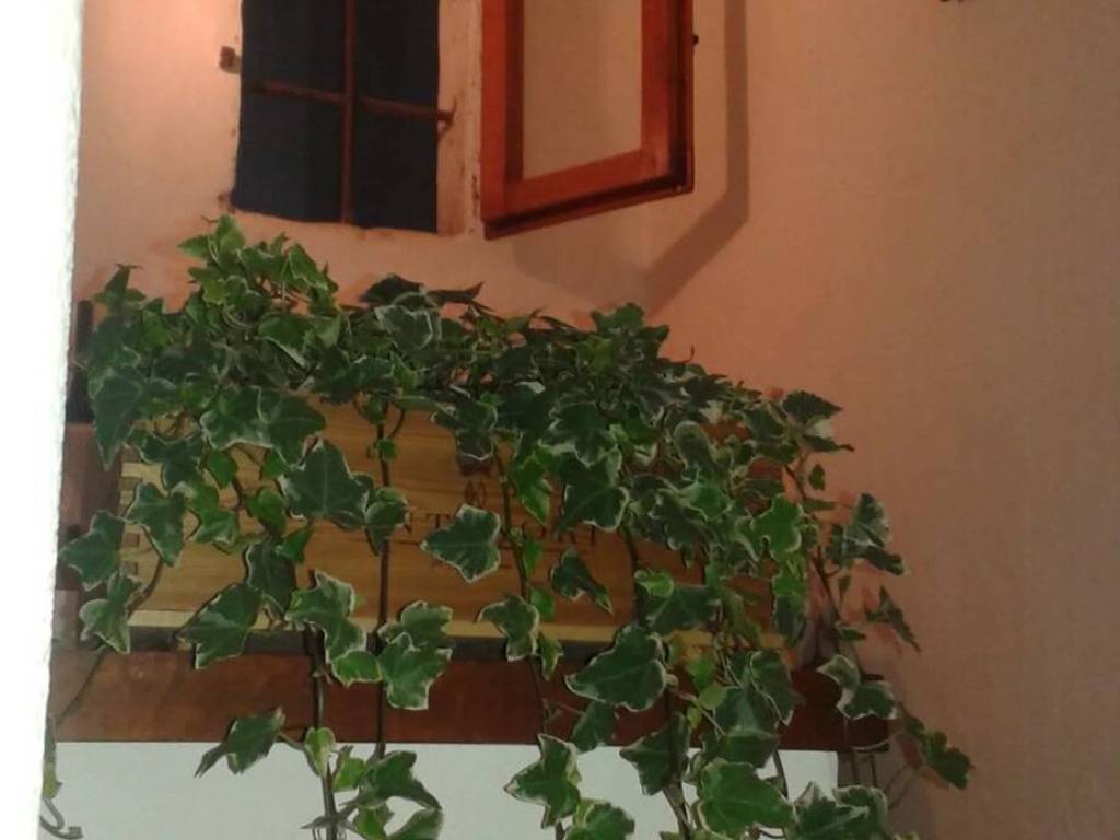 appartamento in affitto a Firenze in zona Centro Santa Croce