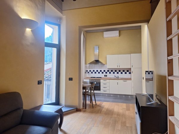 appartamento in affitto a Firenze in zona Centro San Frediano