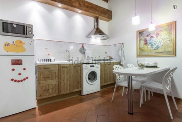 appartamento in affitto a Firenze in zona Centro Santa Croce