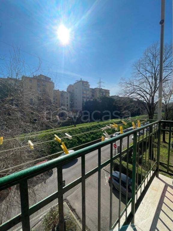 appartamento in affitto a Firenze in zona Novoli