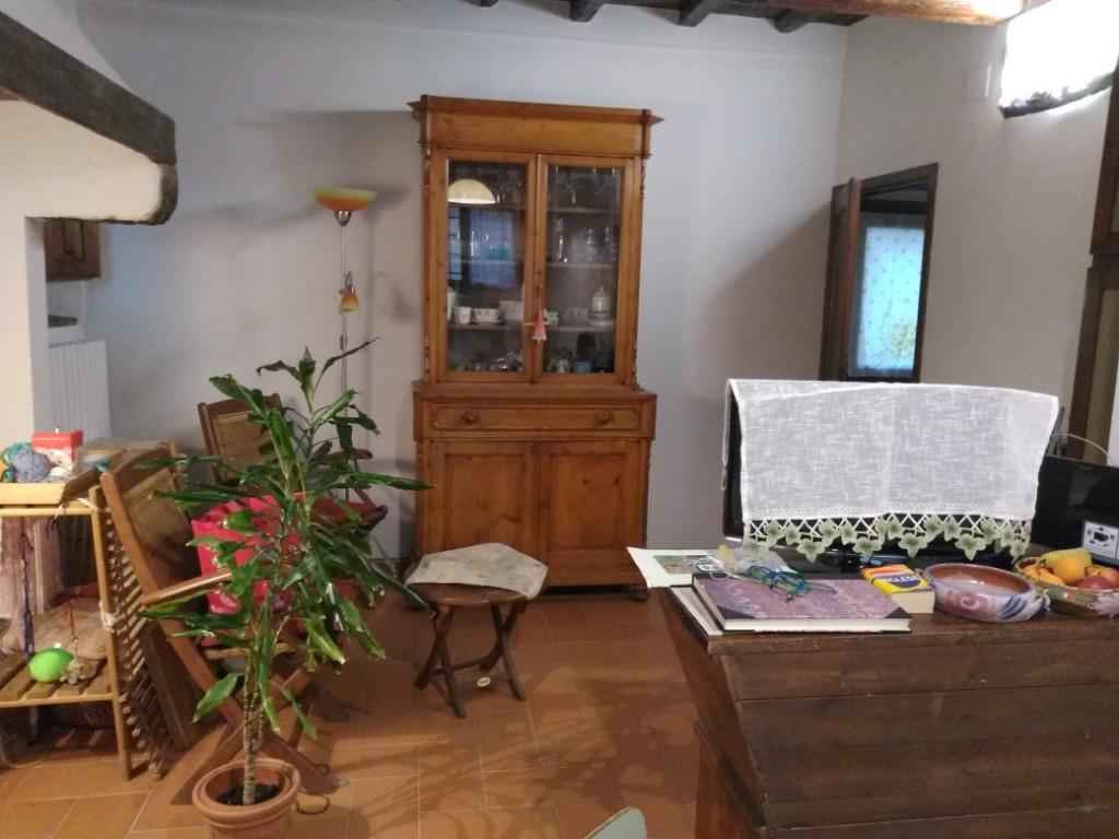 camera singola in affitto a Firenze in zona Bellariva