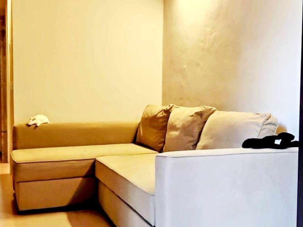 appartamento in affitto a Firenze in zona Le Cure