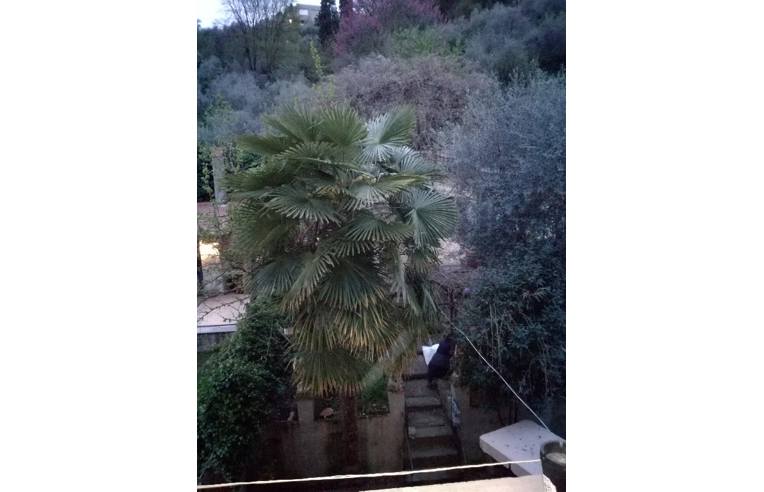 camera singola in affitto a Firenze in zona Centro San Frediano