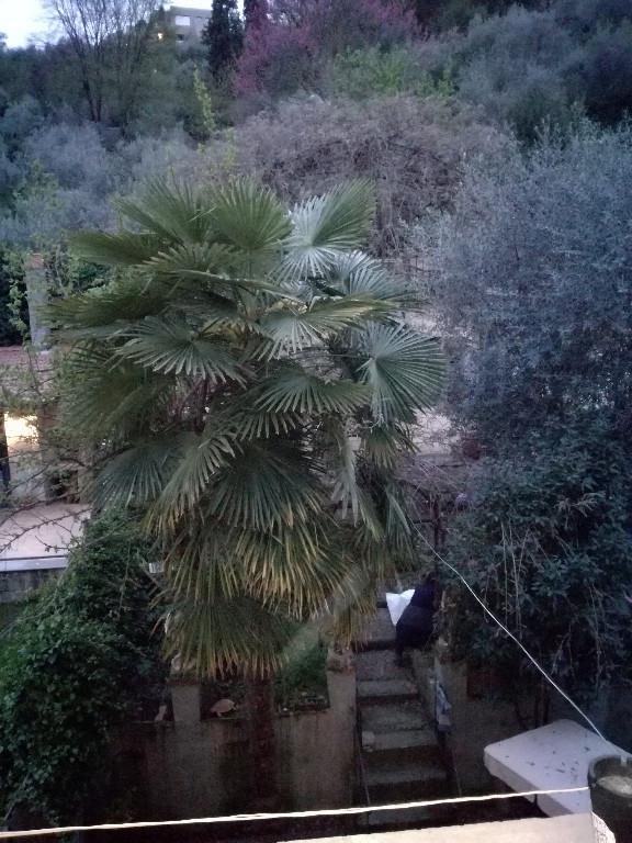 camera singola in affitto a Firenze in zona Centro San Frediano