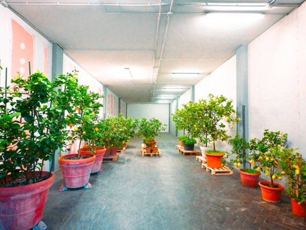 locale commerciale in affitto a Firenze in zona Serpiolle