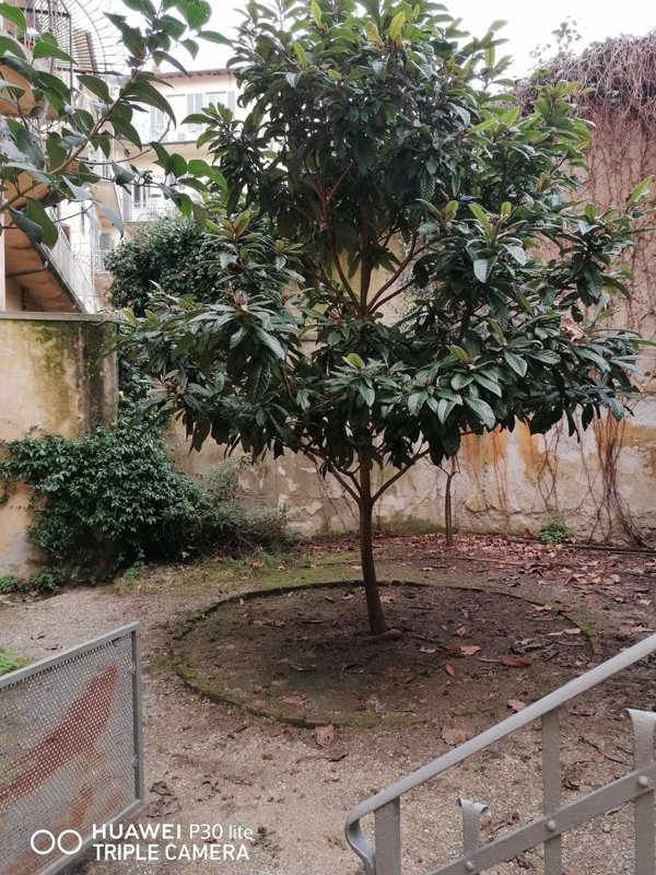 appartamento in affitto a Firenze in zona Centro Duomo