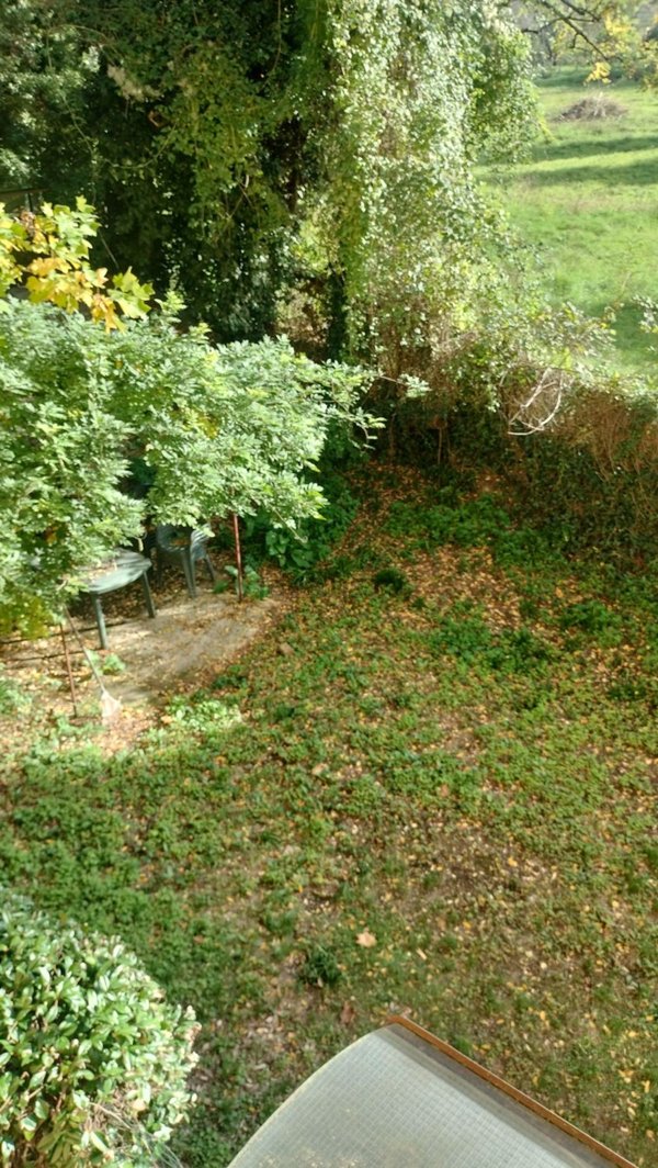 appartamento in affitto a Firenze in zona Porta Romana