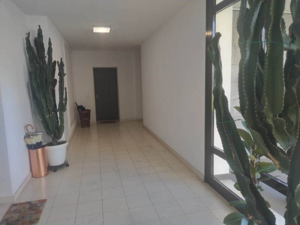 appartamento in affitto a Firenze in zona Legnaia