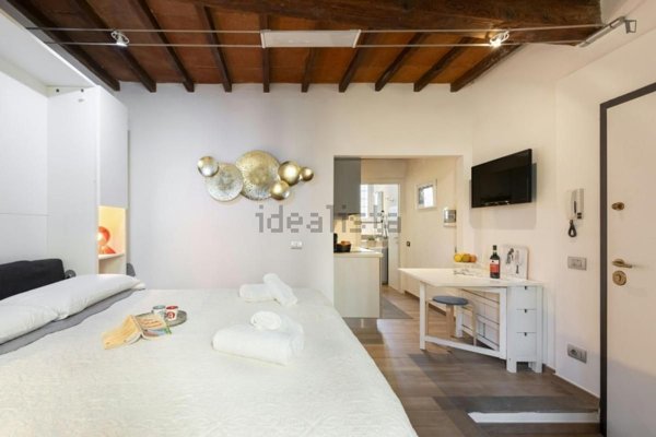 appartamento in affitto a Firenze in zona Centro San Niccolò