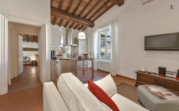 appartamento in affitto a Firenze in zona Centro Santa Maria Novella