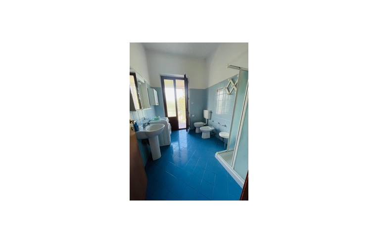 appartamento in affitto a Firenze in zona Firenze Nova